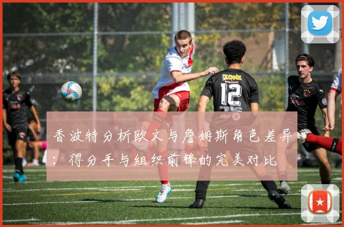 香波特分析欧文与詹姆斯角色差异：得分手与组织前锋的完美对比